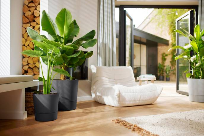 greensense aqua care round 35cm charcoal grey